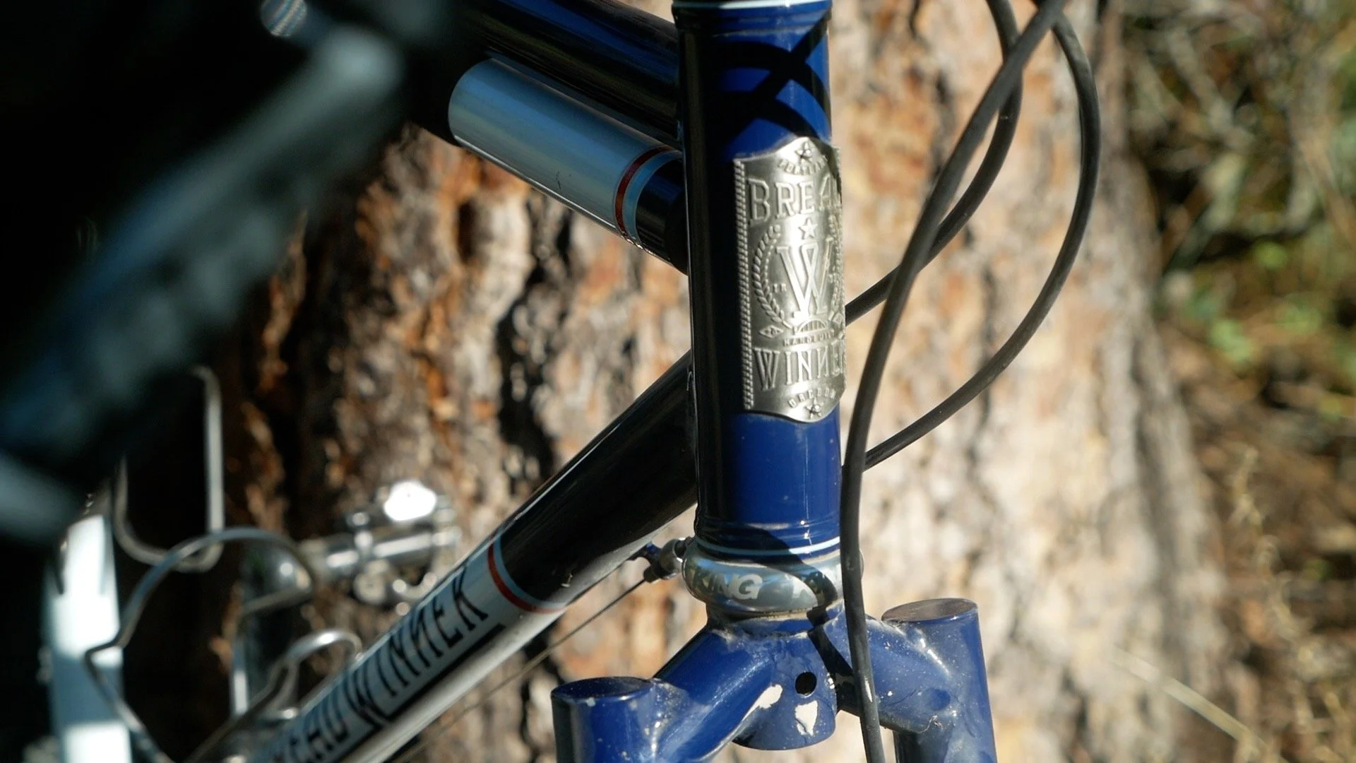 Path Less Pedal Review: Breadwinner G-Road Gravel Bike — The Path Less Pedaled