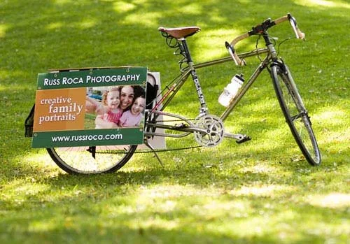 The Culling Continues