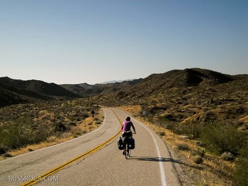 Some words haunt you...