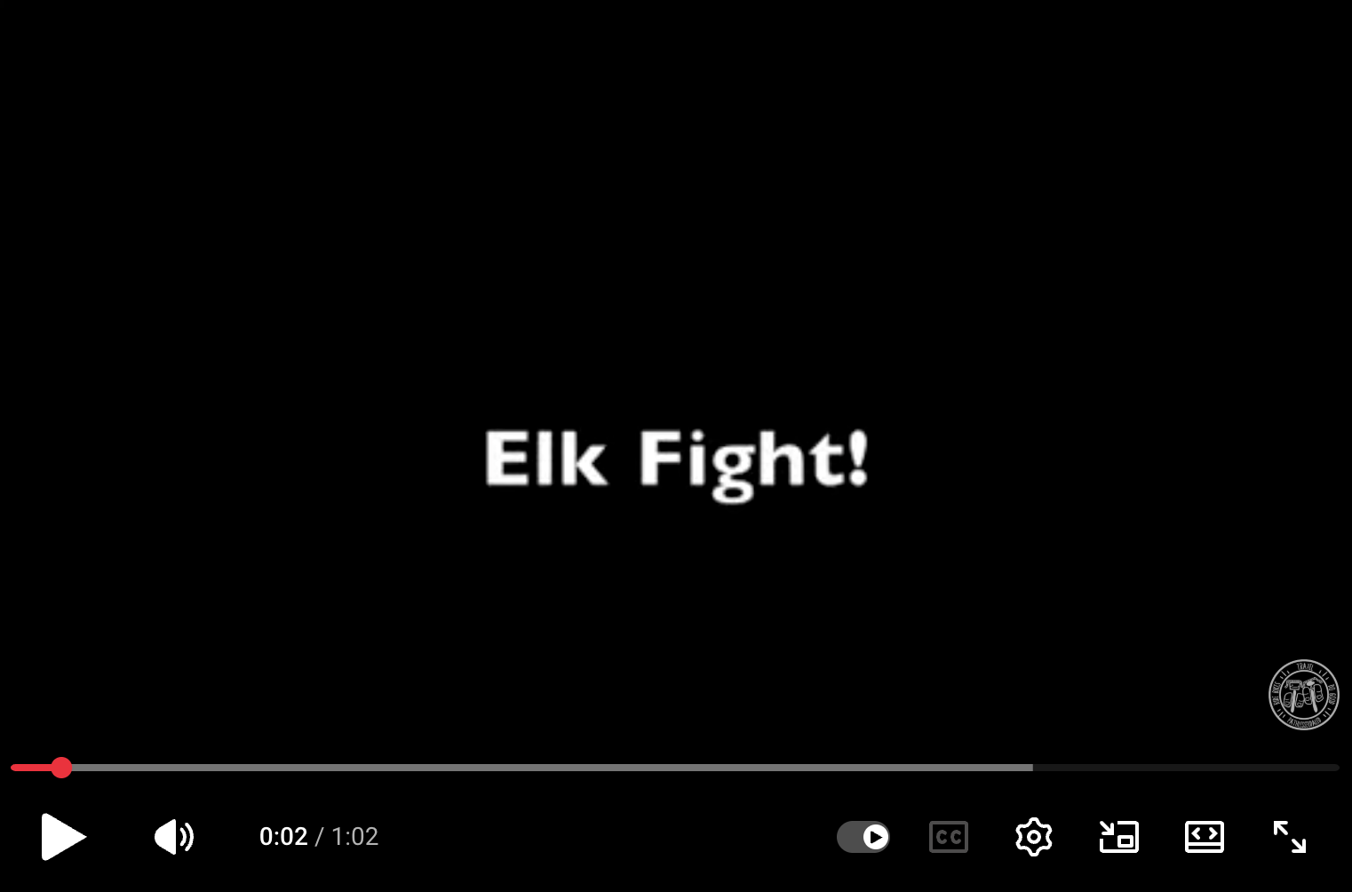 Double Feature: Elk Fight and Ride through the Redwoods
