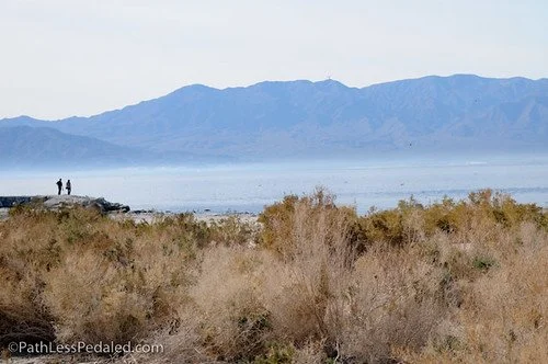 Learning a few things