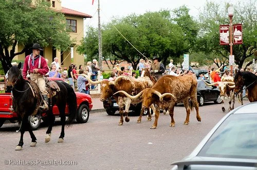 A Week in Fort Worth