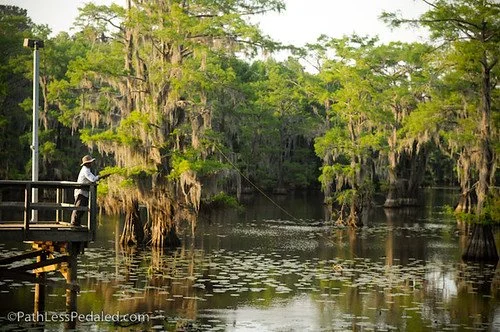 Snaps from Caddo Lake