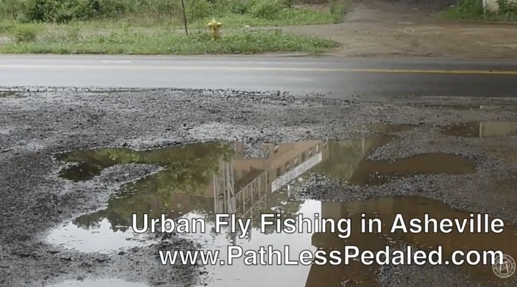 VIDEO: Urban Fly Fishing in Asheville, NC