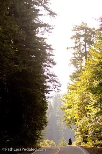 You're Doing it Wrong