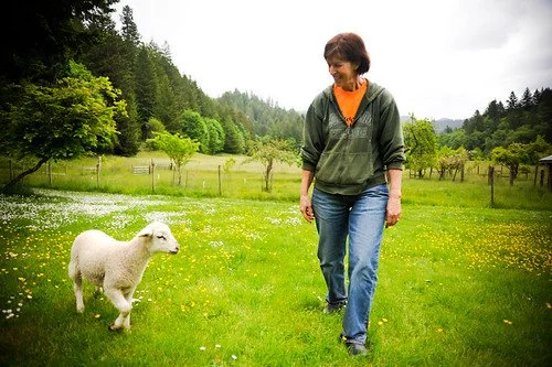 Bicycle Friendly Profile: FarmStayUS.com