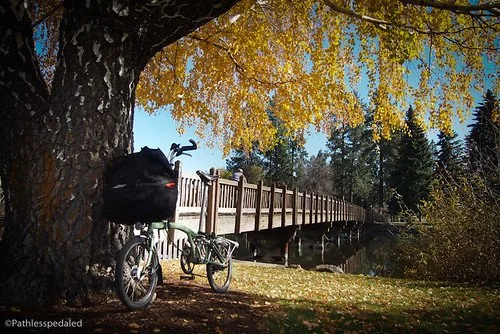 Waiting and Wandering