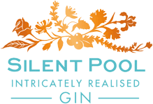 SILENT-POOL.png