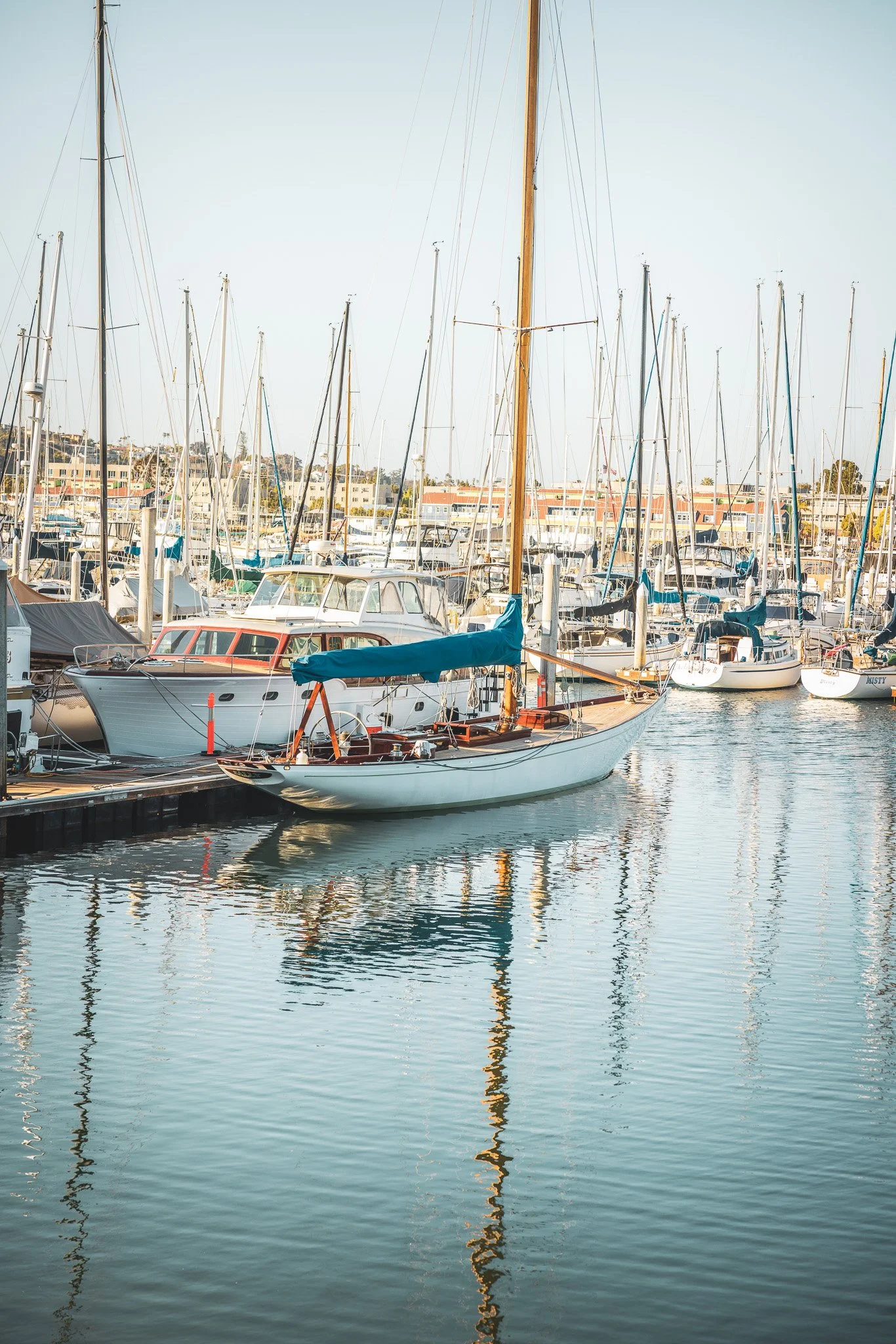 Boats docked in a marina with calm water, multiple sailboats and motorboats, and buildings in the background.