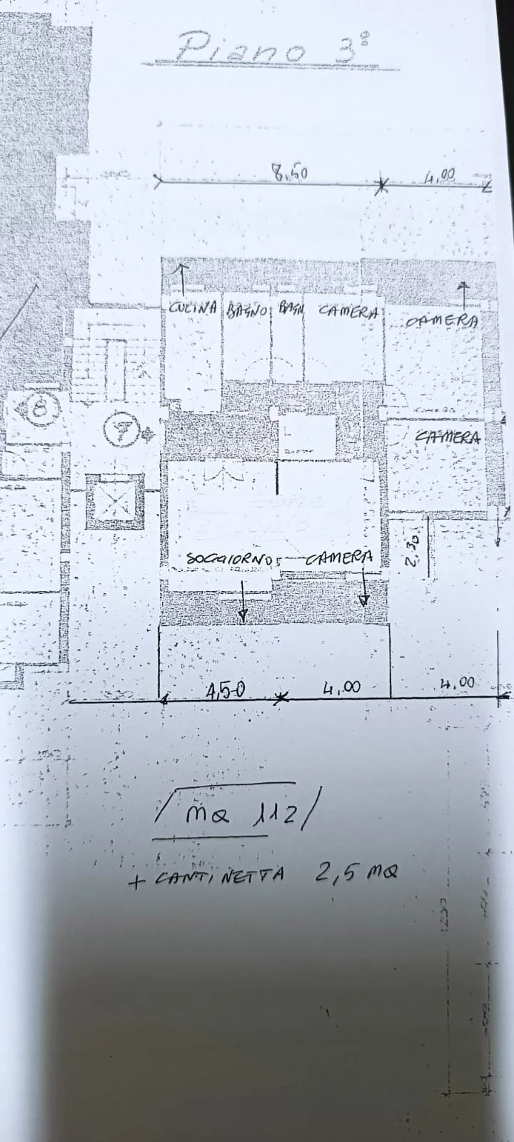 vg308 foto-pianta.jpeg