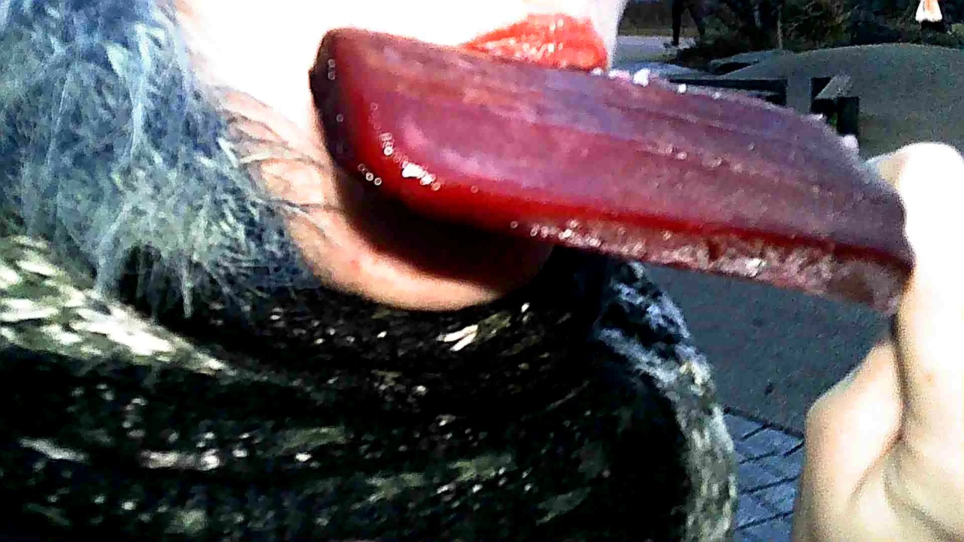 this letter is for you thumbnail.jpg