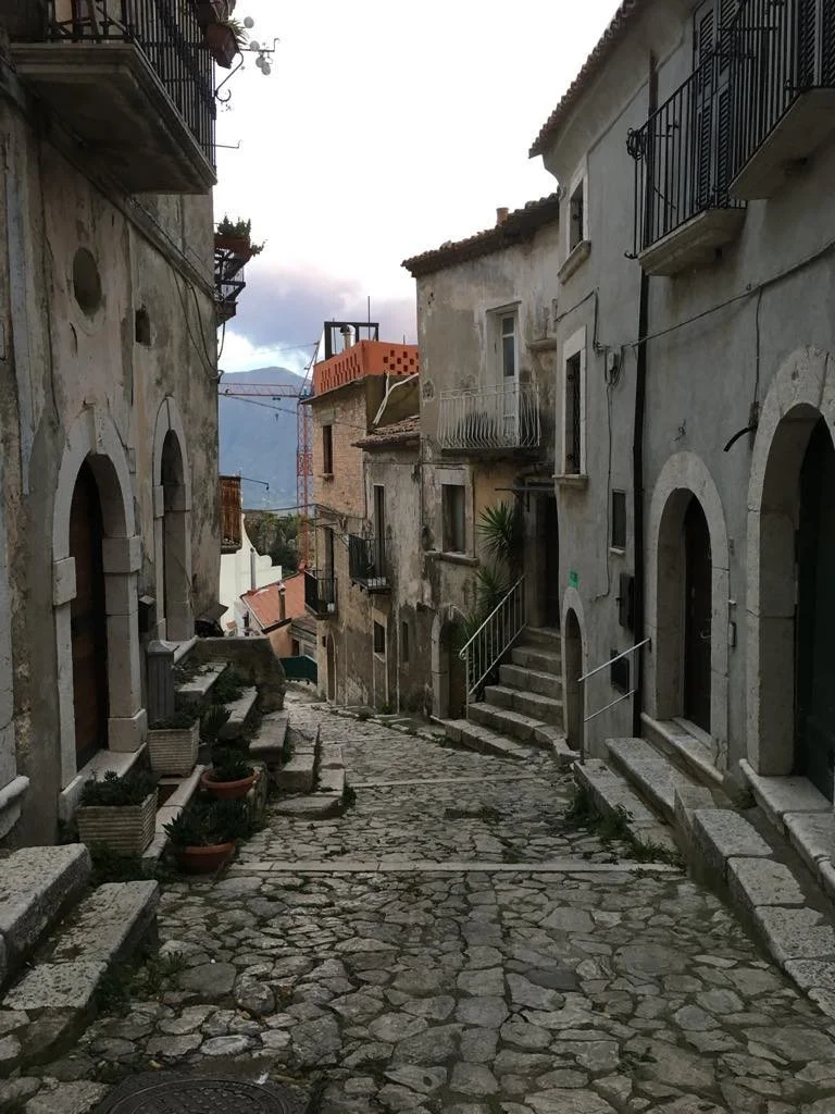 Shaping the Future of our Historic Center - December 5, 2025