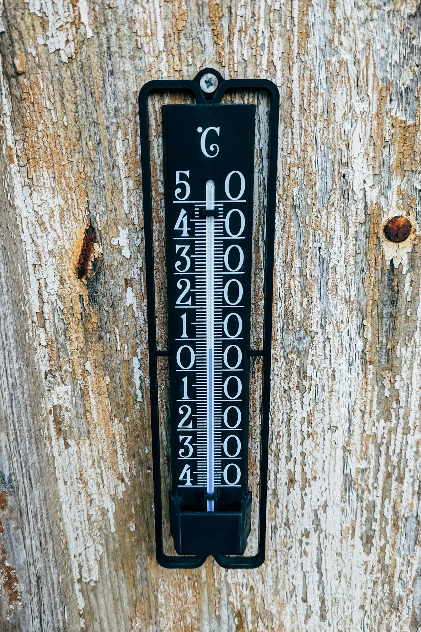 Outdoor thermometer mounted on a tree, displaying temperatures around 45 degrees Fahrenheit.