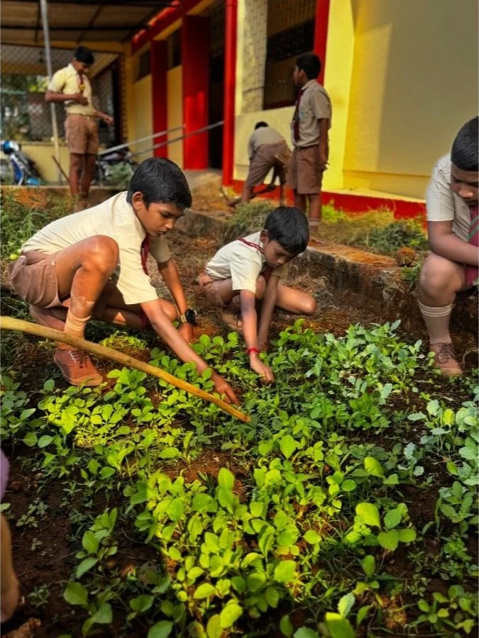 School children learning organic gardening with The Art Farm, Goa. Kids planting vegetable seedlings as part of a community farming education program in India