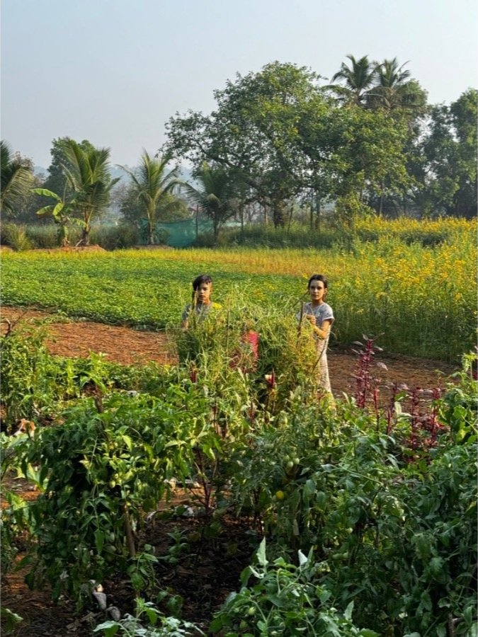 children playing in the field at The Art Farm, Goa