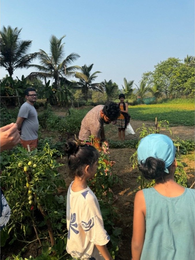 Families picking organic vegetables together during a harvest session at The Art Farm, Goa - connecting kids with local farming and fresh food in India