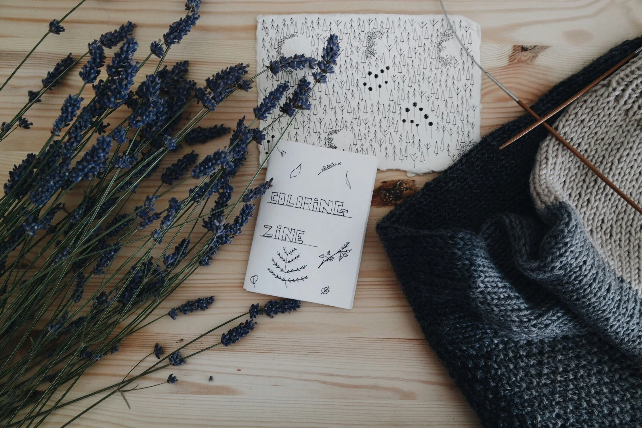 wooden table with dried rosemary and a zine colouring book made by a child to describe dried herbs.