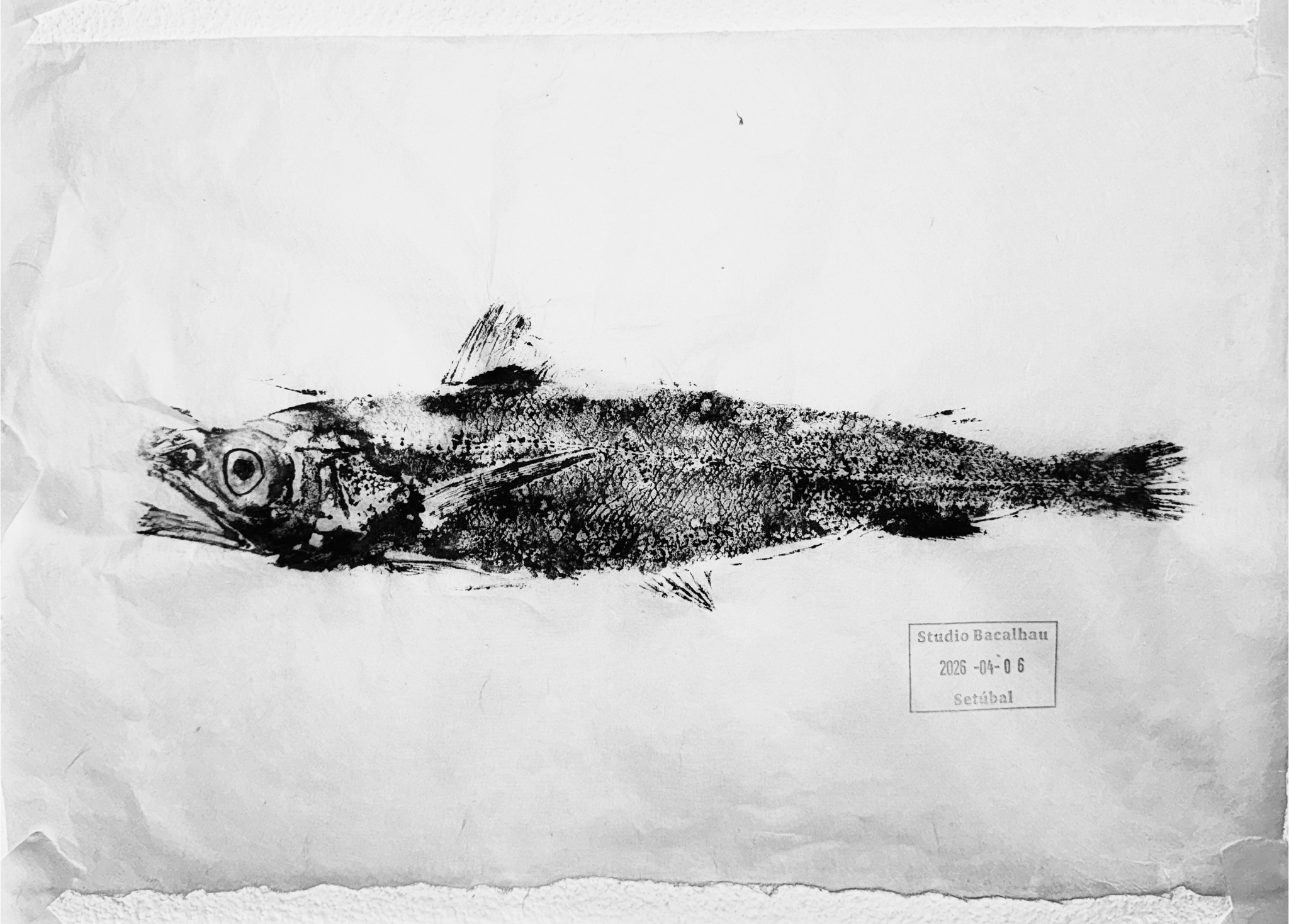 Gyotaku fish print using sumi ink of a Carapau fish