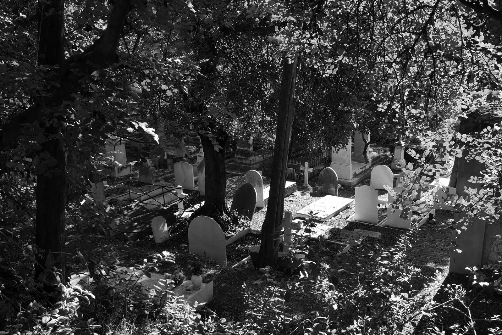 The English Cemetery (Cementerio Inglés de Málaga)