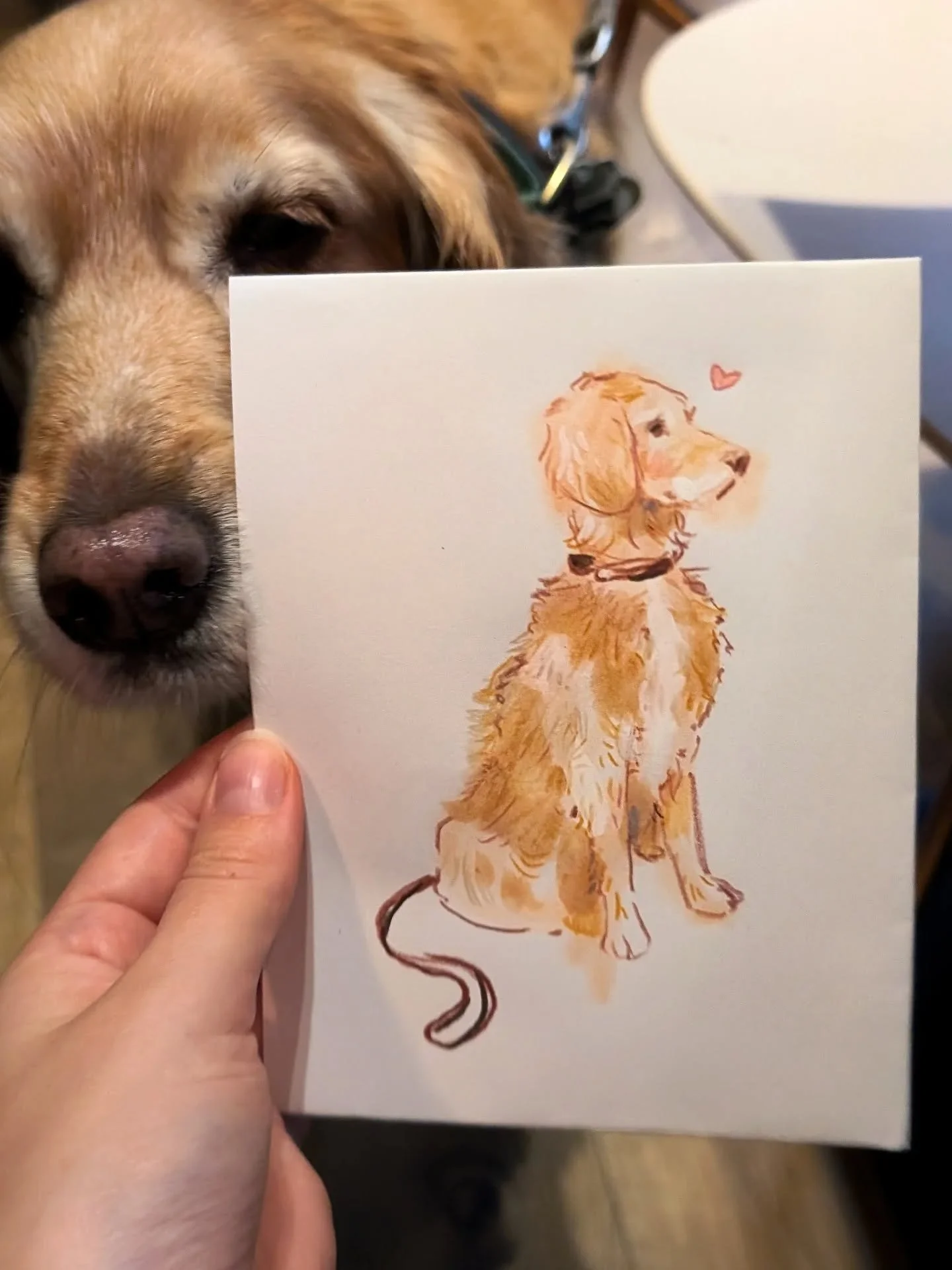 So ein S&uuml;&szlig;i hat mir durch die St&auml;be hallo gesagt🖍️

#illustration #hund #geschenkideen