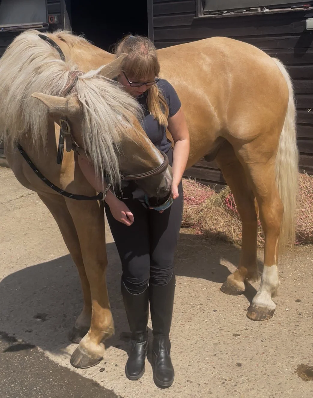 Baited stretches: should I use a lick or a carrot?