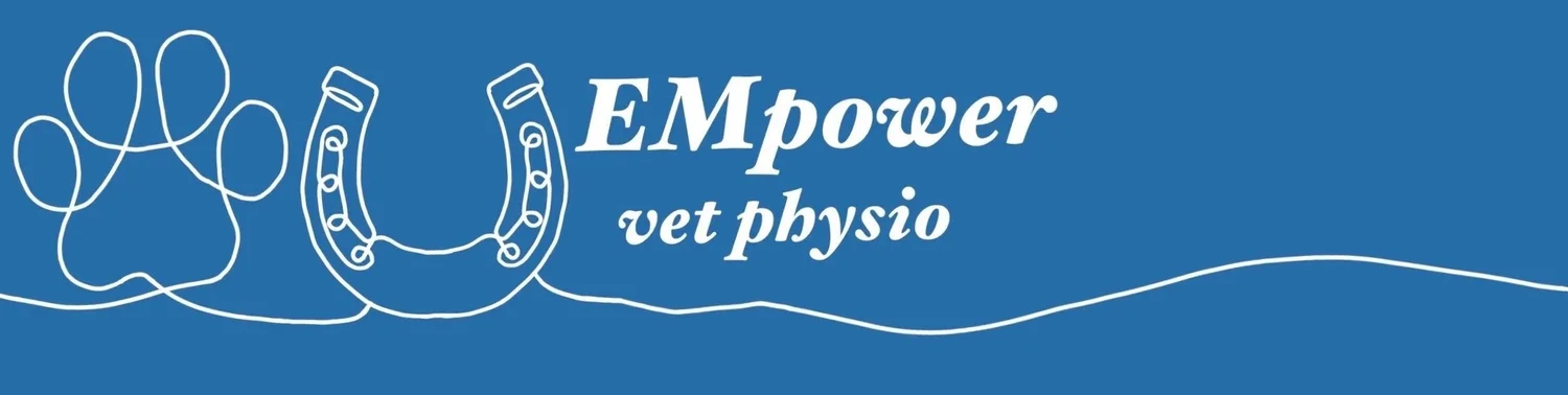 EMpower Veterinary Physiotherapy