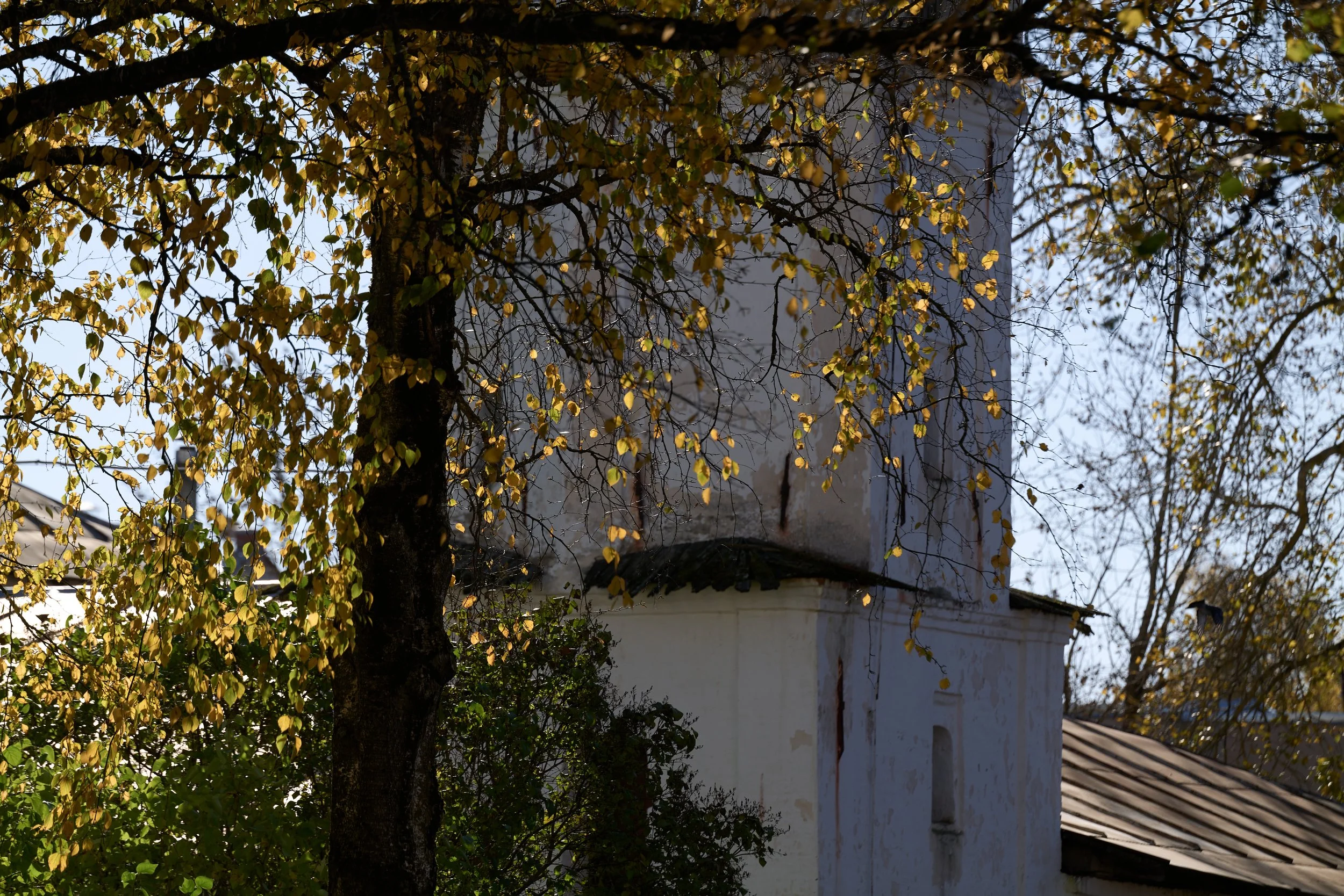Fragment of the Church of the Nativity of the Virgin at the Mikhailitsky Monastery