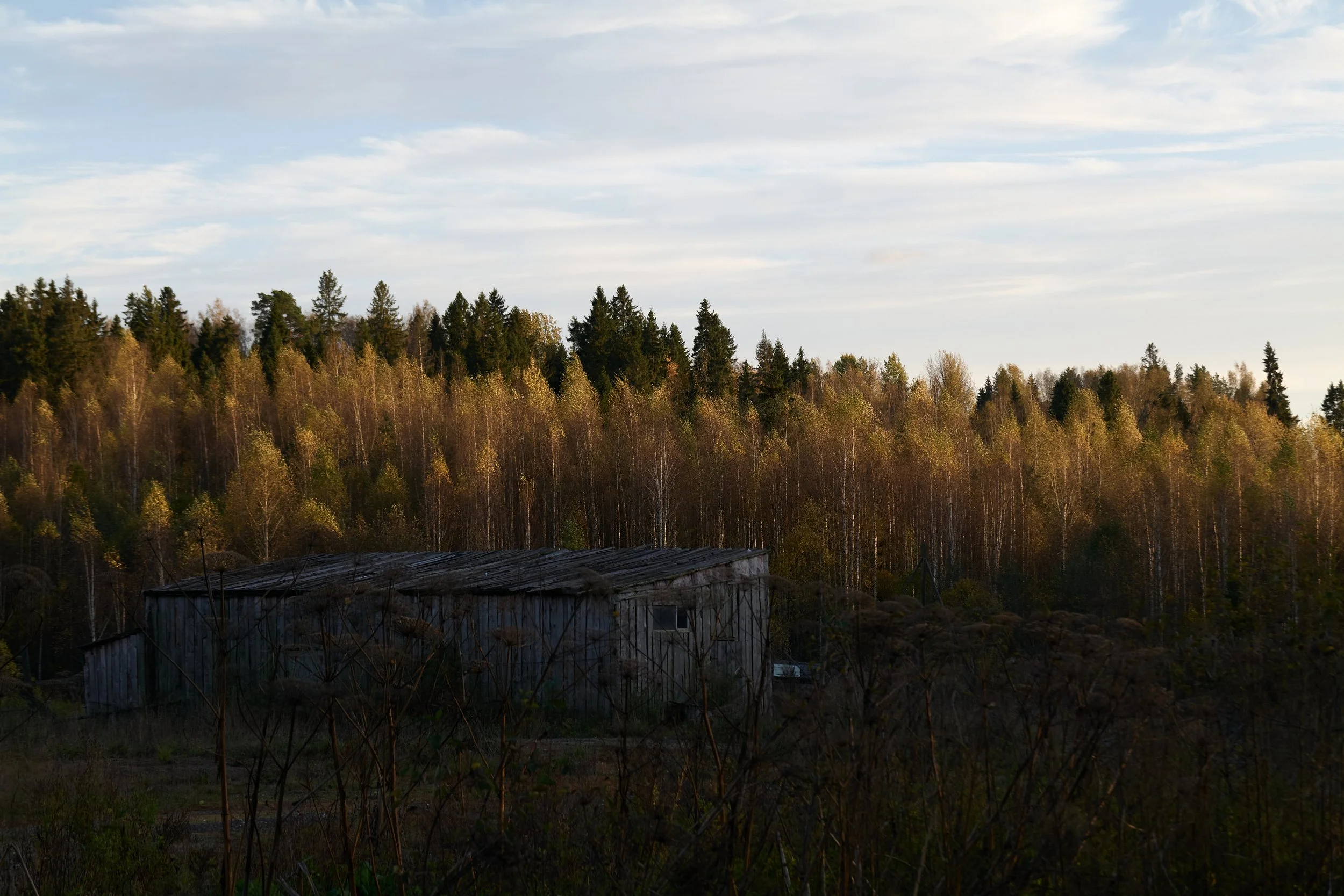 View_of_the_Novgorod_Countryside_near_Okulovka.jpg