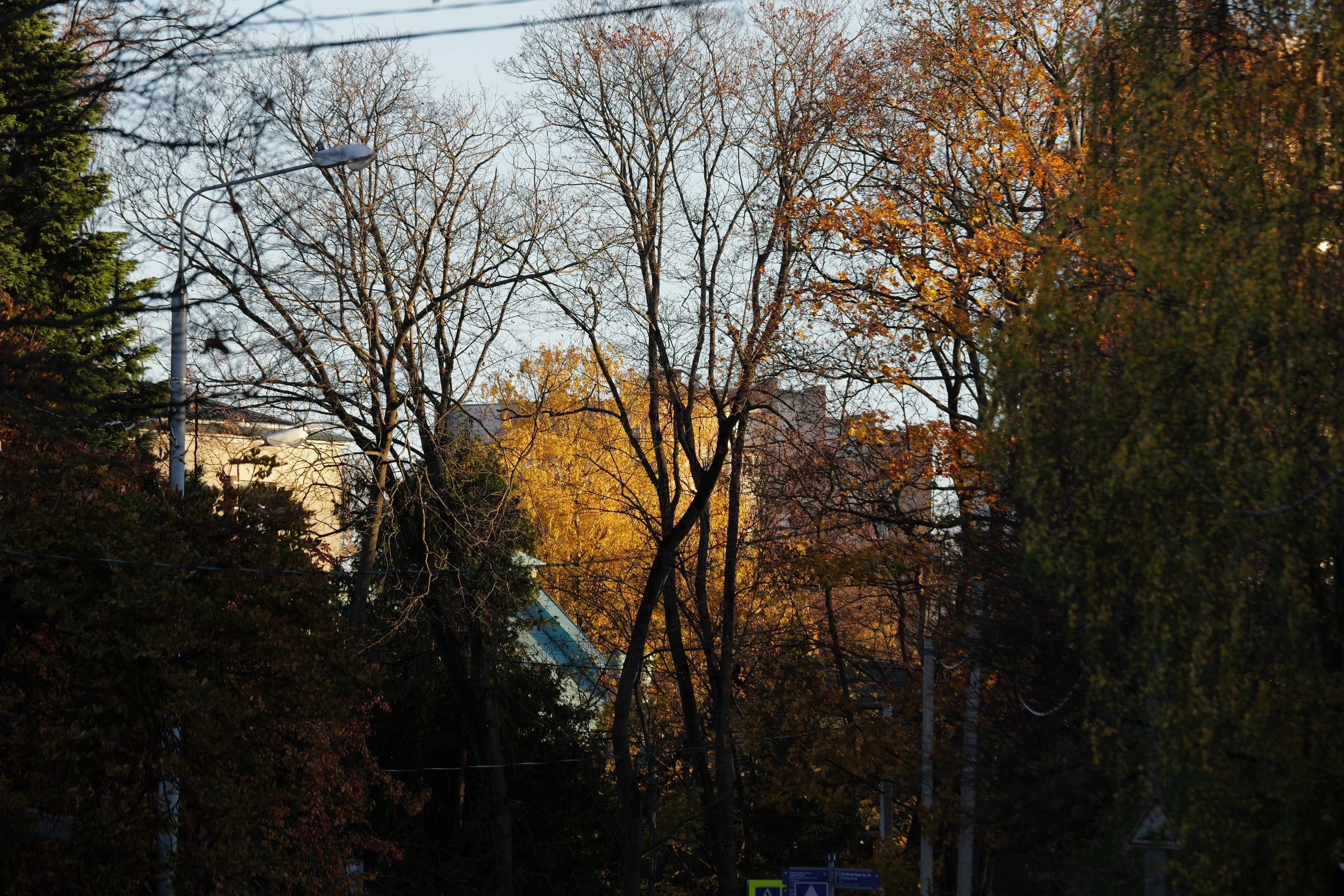 Улица Саврасова