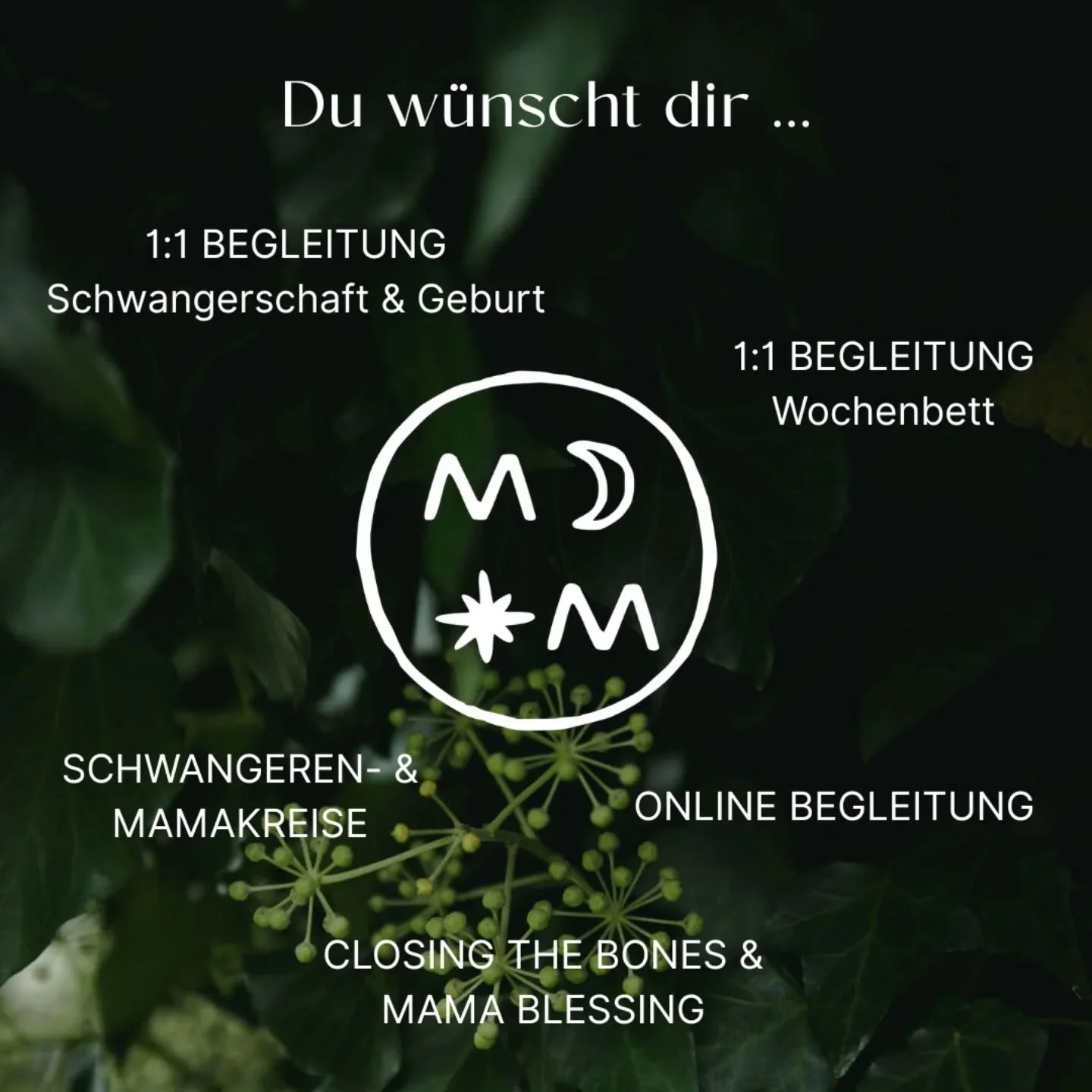 Was w&uuml;nscht DU dir?

Ich bin in dieser transformierenden, aufregenden Zeit in deinem Leben an deiner Seite und begleite dich achtsam, ganzheitlich und liebevoll auf deinem ganz individuellen Weg.

☽ 1:1 begleite ich dich in der Schwangerschaft, 