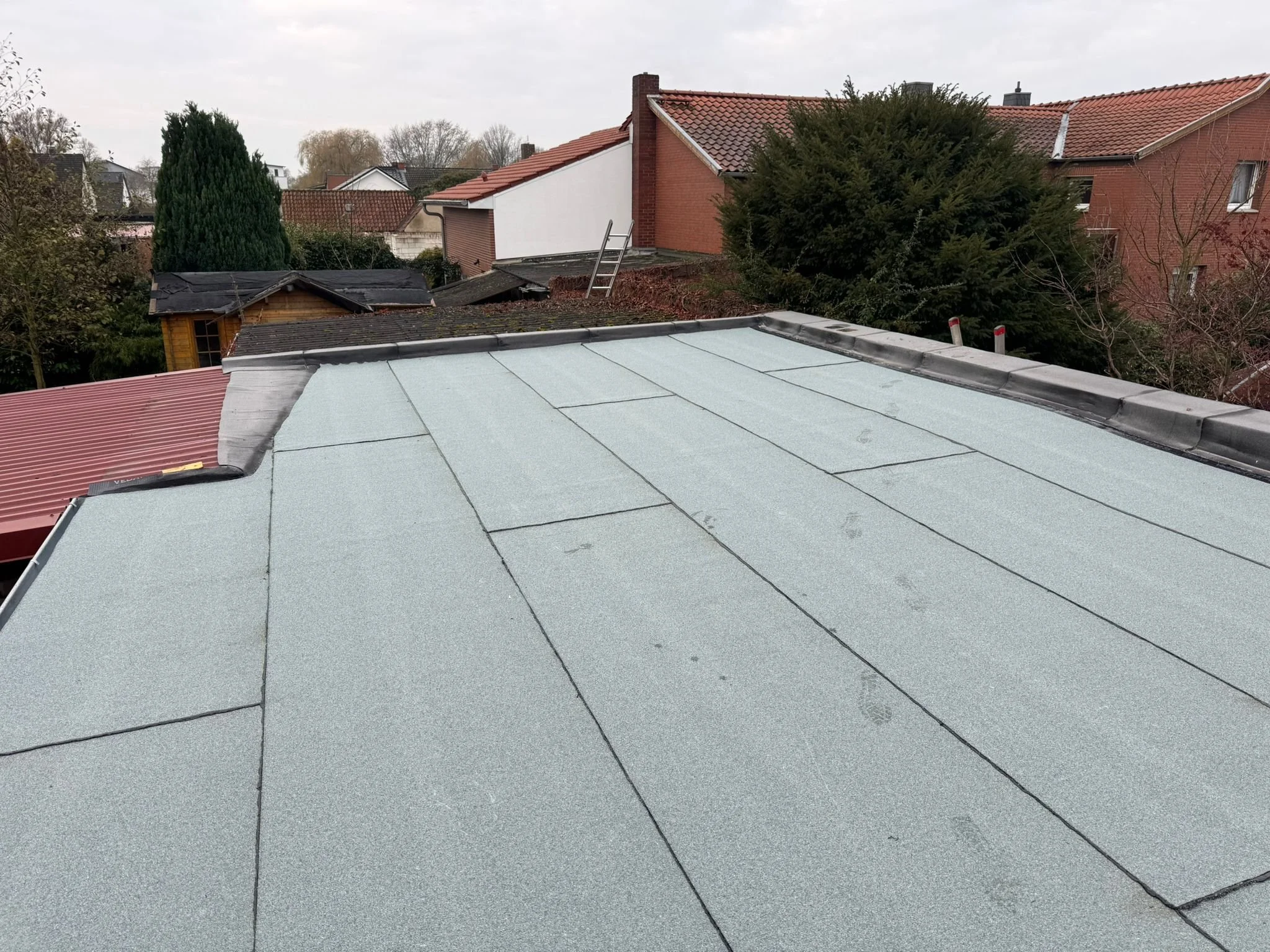 WhatsApp Image 2025-12-09 at 20.52.49 (1).jpeg