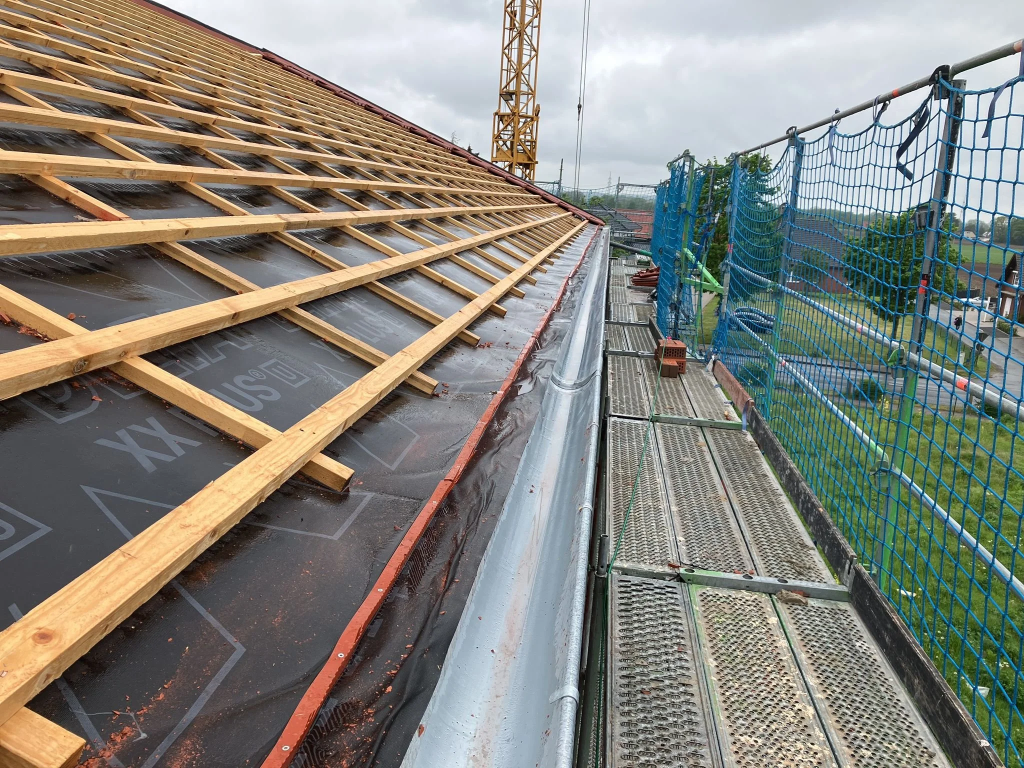 WhatsApp Image 2025-12-09 at 20.51.56.jpeg