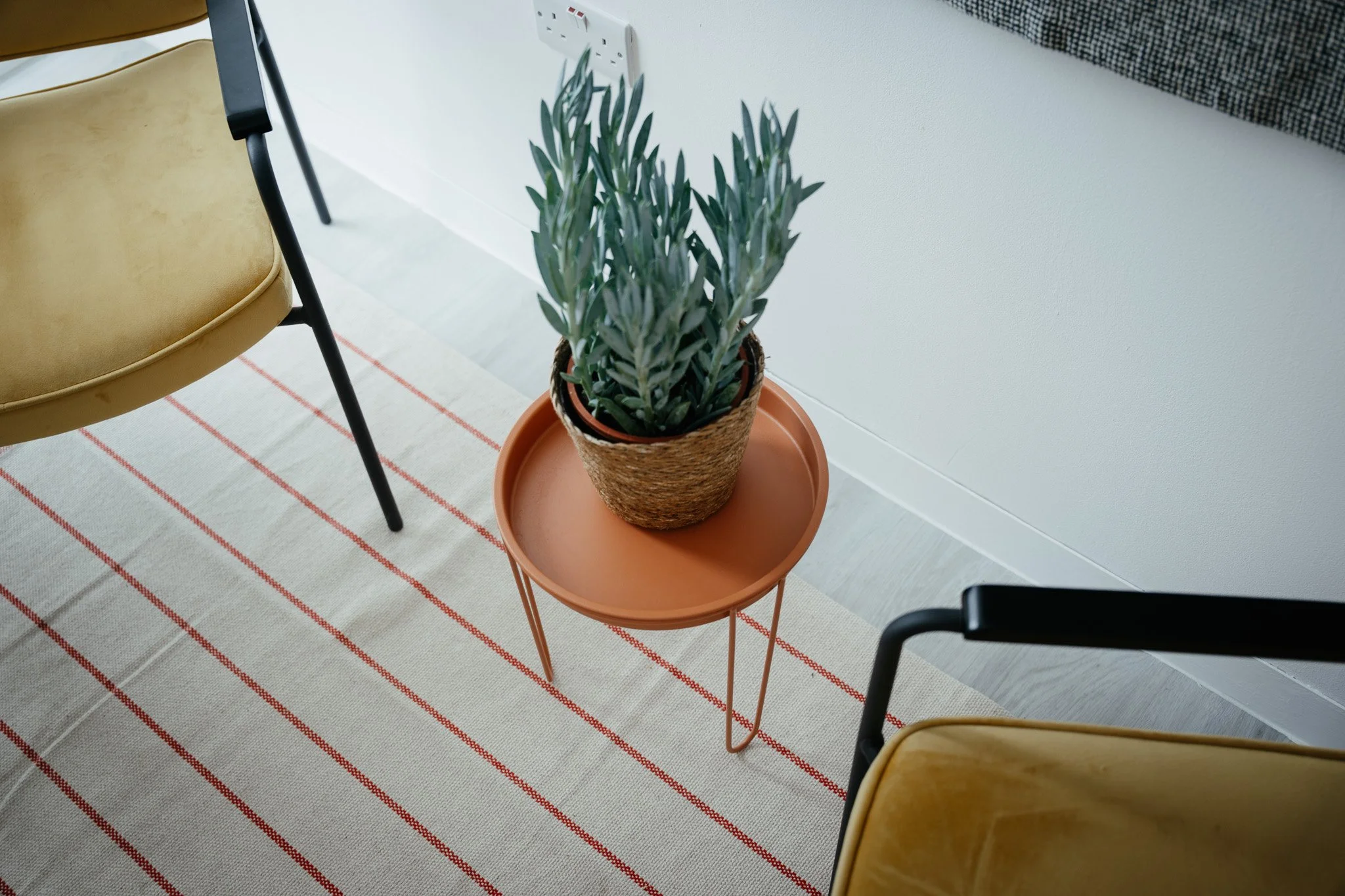 A distant view of snow-capped mountains over a green and brown hilly landscape with some modern buildings in the foreground.