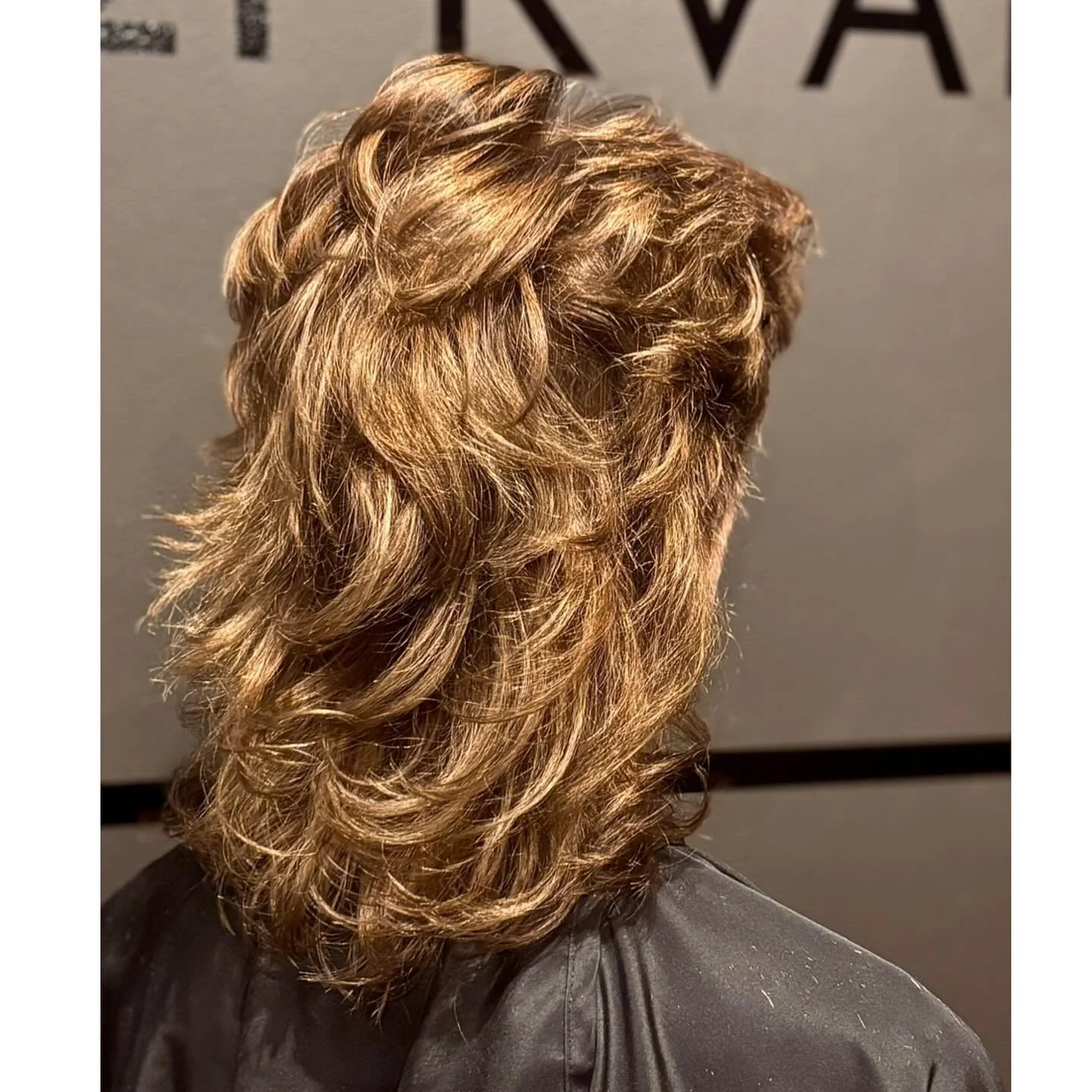 H&ouml;st med b&aring;de ny f&auml;rg &amp; fripp🤎 #mochamousse #glammigmullet #&aring;re #duved