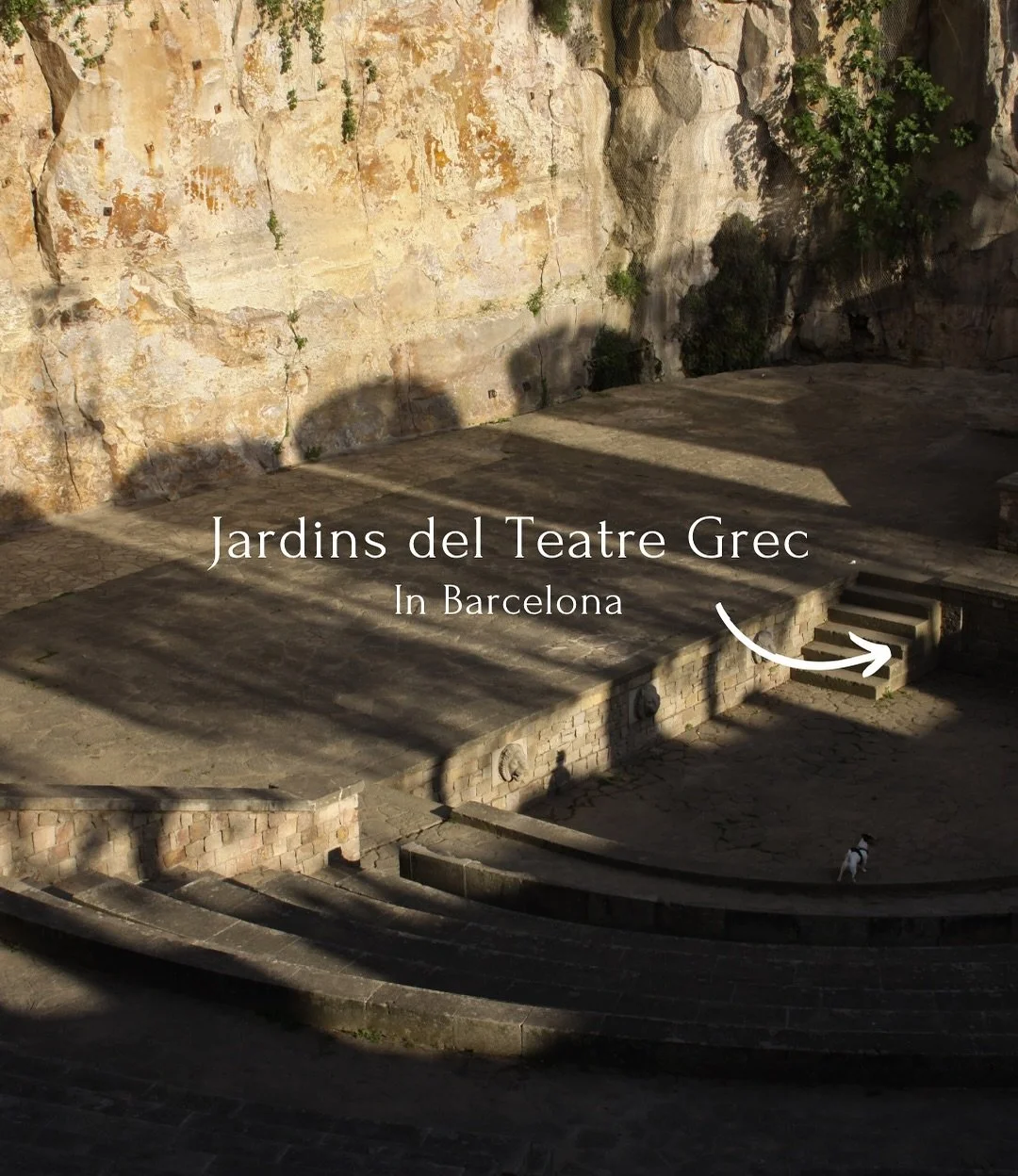 A place to unwind in Barcelona, listen to the nature, read a book and meet with friends 🌳🌴✨