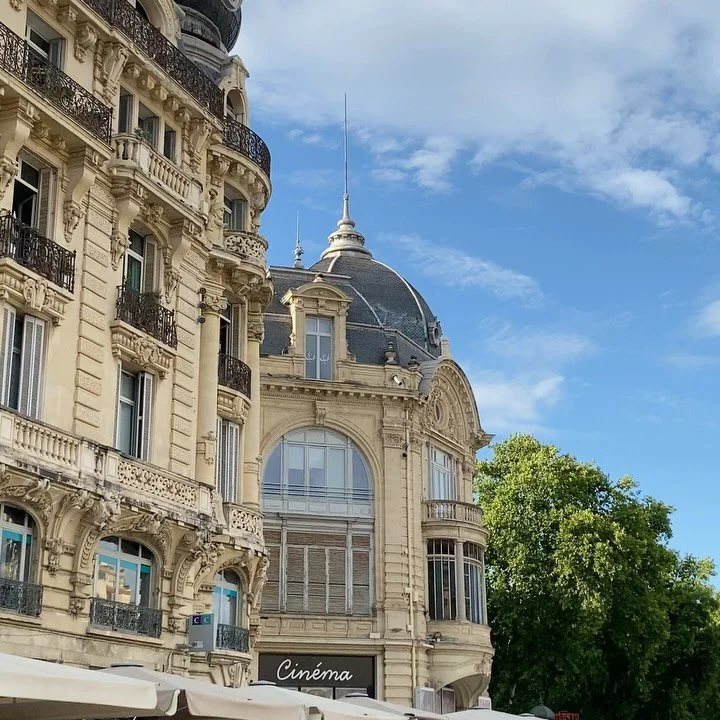 Wandering in Montpellier🕯️🍃