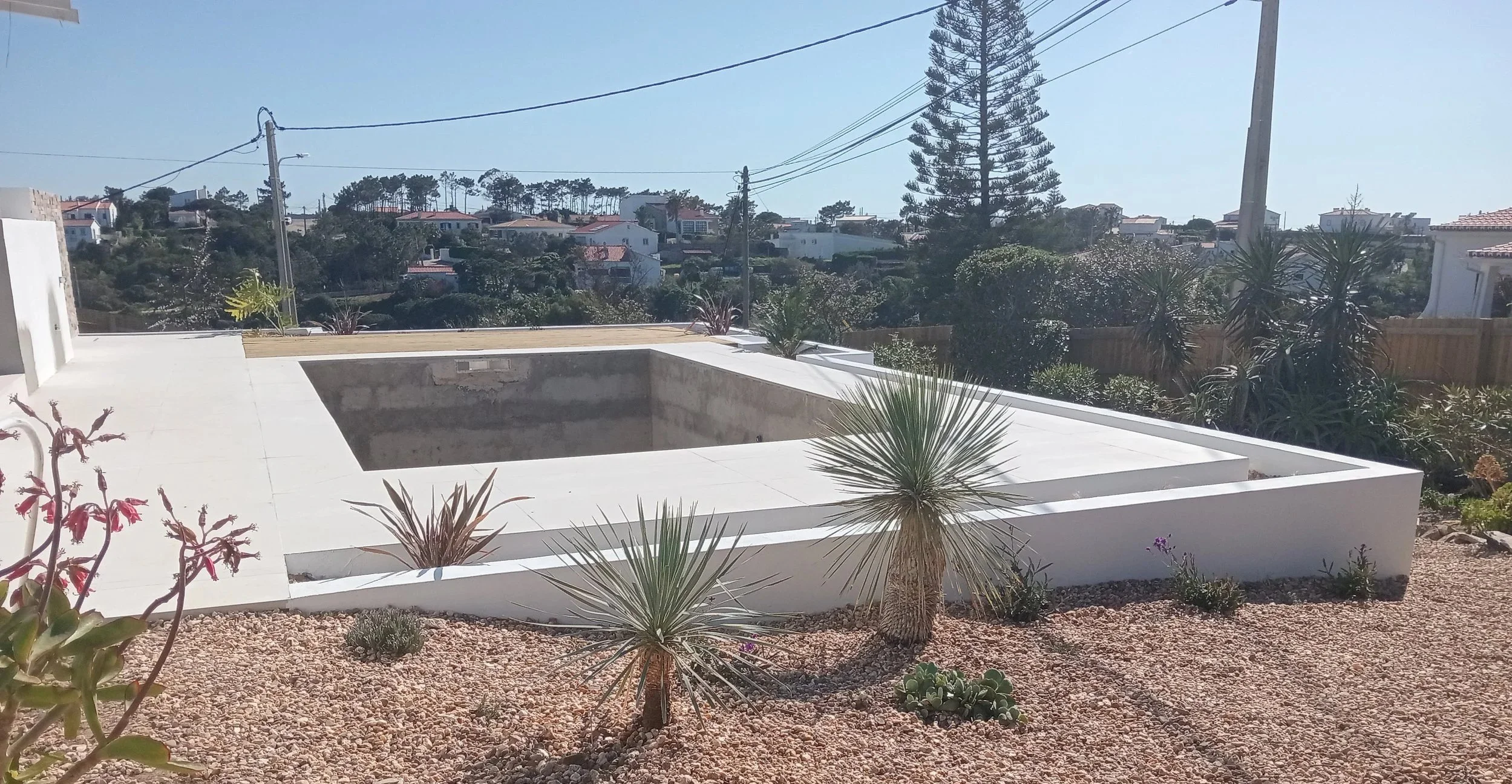 Project 3 - Pool & Landscape