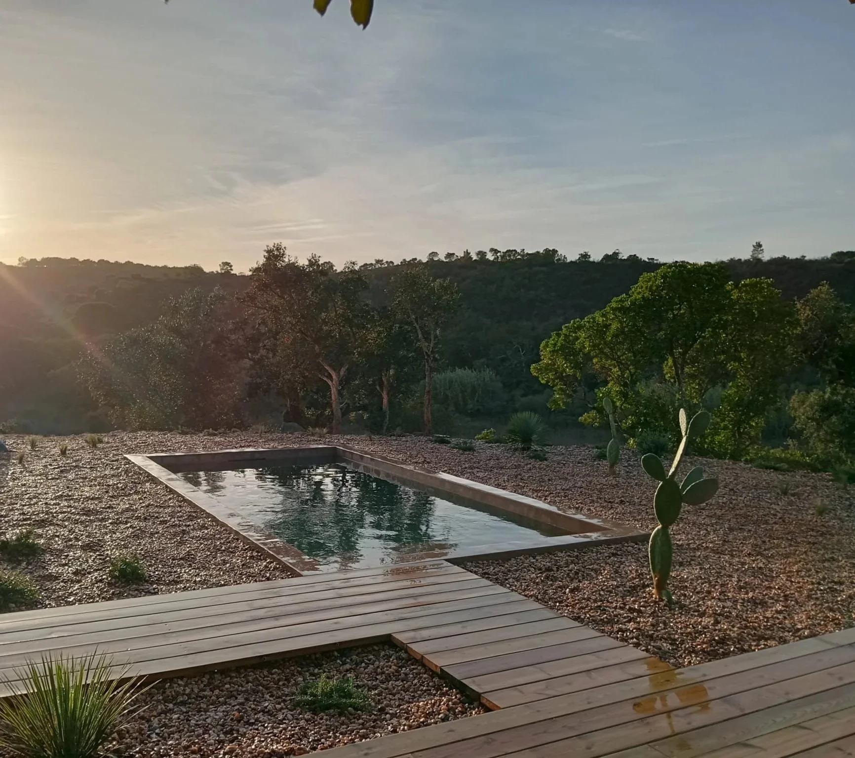 Project 1 - Pool & Landscape