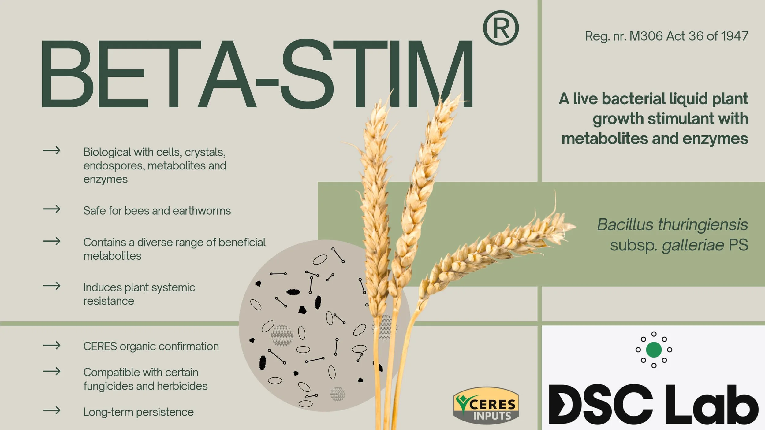 Label for BEASTIM, a live bacterial liquid plant growth stimulant with metabolites and enzymes, featuring wheat graphic, CERES and DSC Lab logos.