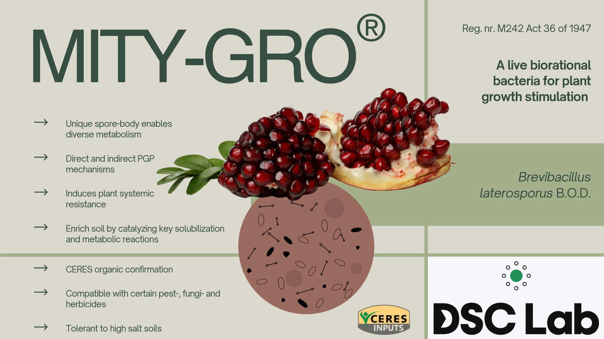 Close-up of a label for MY-GRO, a live biorial bacteria for plant growth stimulation, featuring images of pomegranate and wordings about its features and benefits.