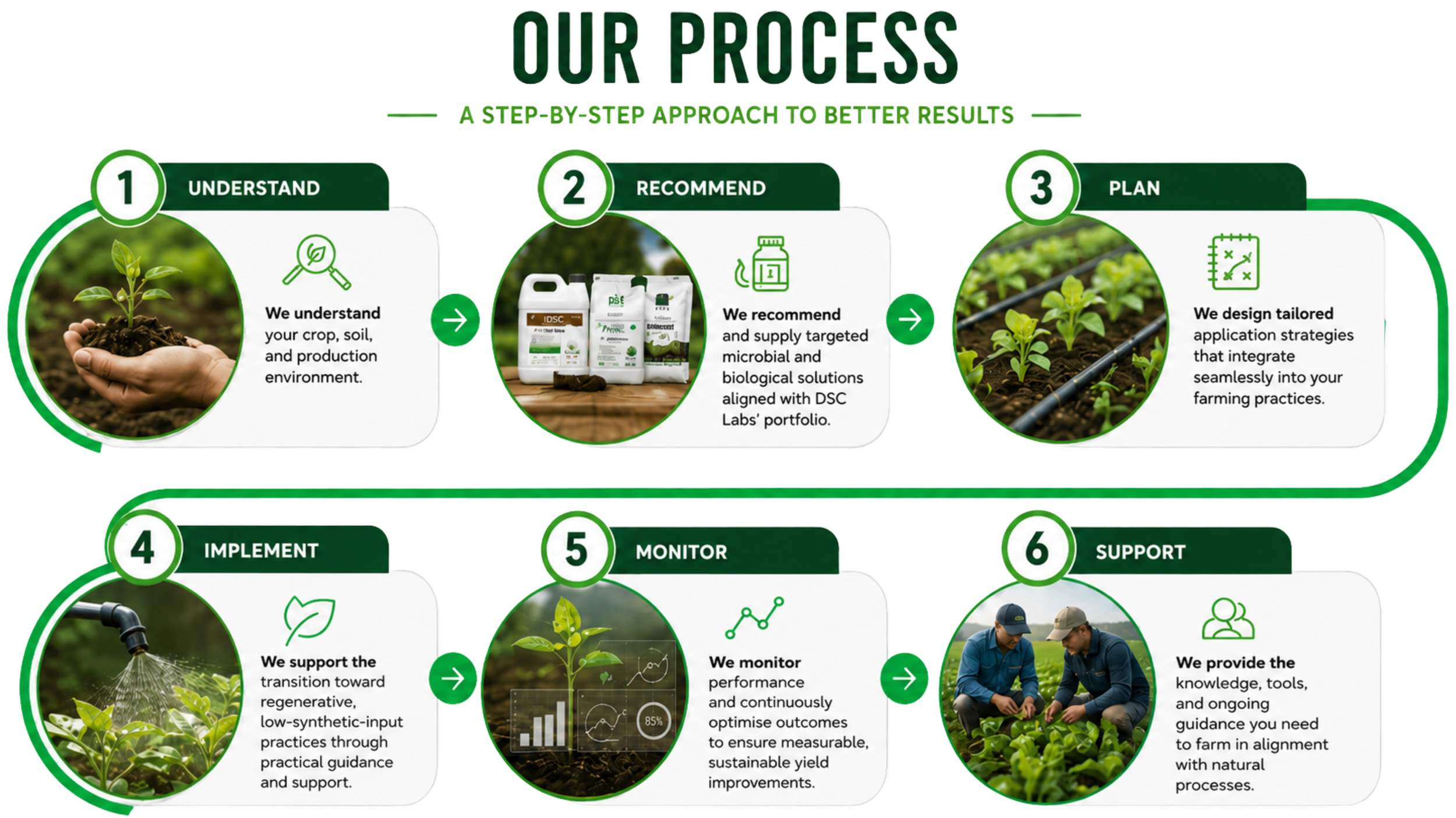 A diagram titled 'Our Process' outlining a step-by-step approach for agricultural or crop management. Steps include understanding soil and production environment, recommending microbial and biological solutions, planning tailored application strategies, implementing practices, monitoring performance, and providing ongoing support. Each step features icons and images related to farming and plant care.