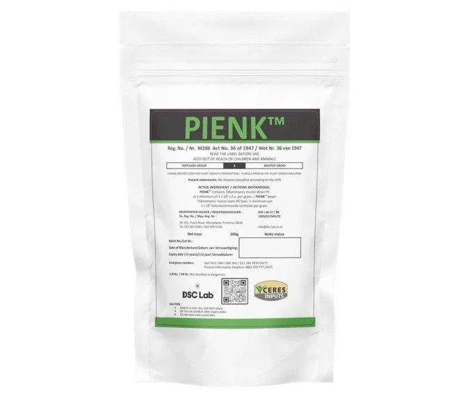DSC LAB PIENK
