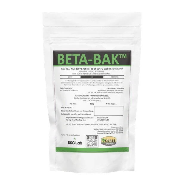 BETA-BAK IMAGE.jpg