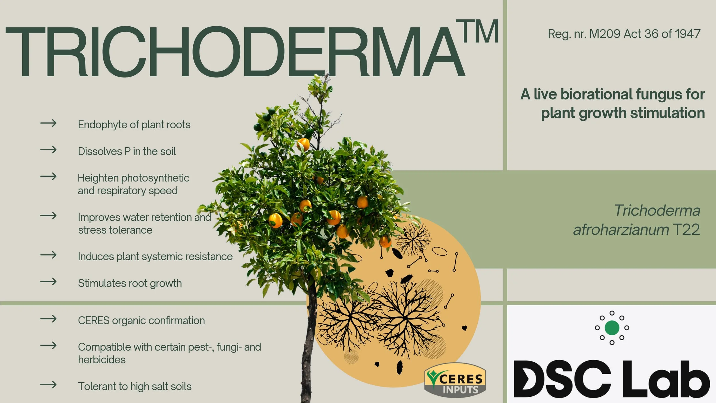 Informational poster about Trichoderma, a beneficial fungus for plant growth, featuring a tree with yellow fruit and text listing its benefits and scientific details.