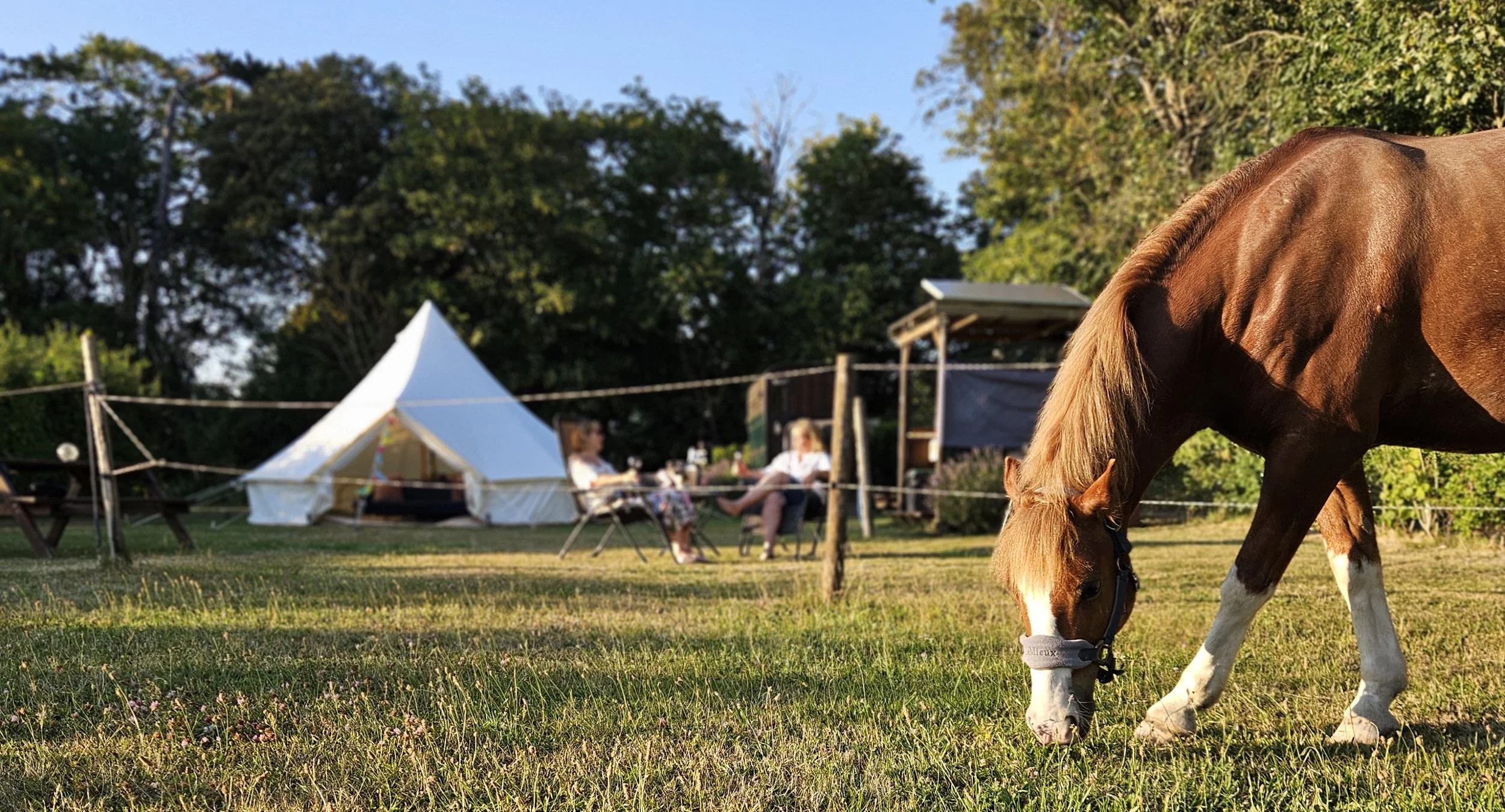 Horse and bell tent shot edited.jpg