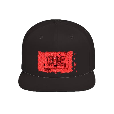 youngdub-studios-flat-bill-snapback Background Removed.png