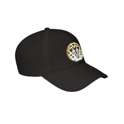 low-profile-baseball-cap Background Removed.png