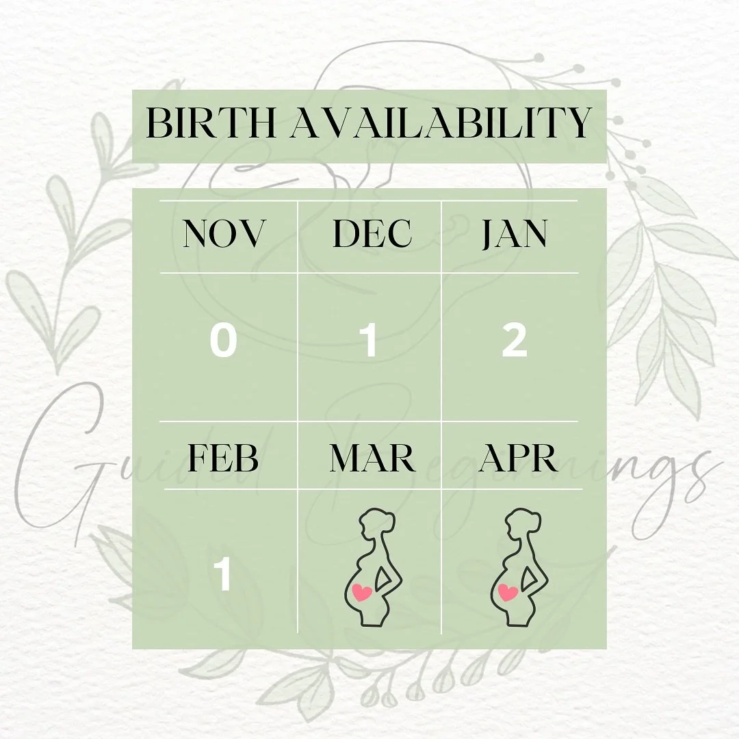 Updating my availability! I am still taking one more 2024 birth and a few early 2025 clients before it is time for me to have my own baby in March. I will be taking a few months to rest and bond with our newest addition, but I will be picking back up