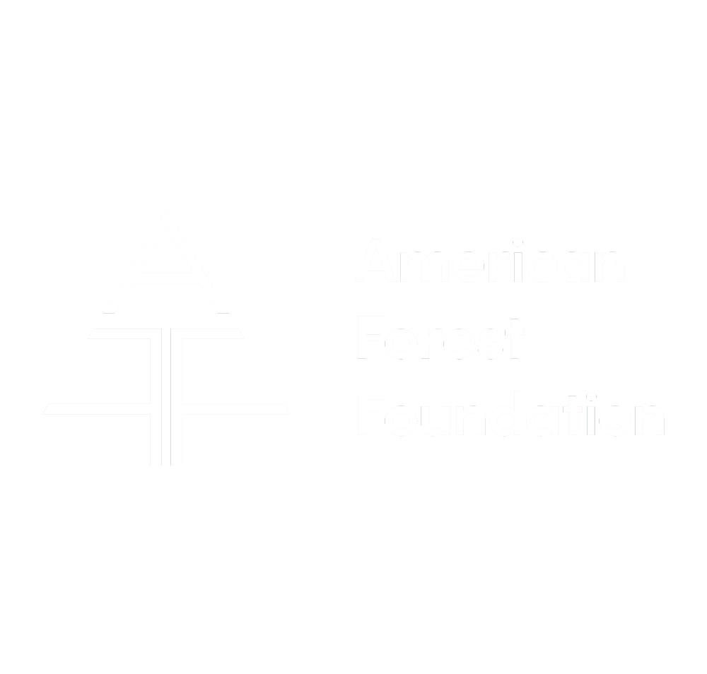 AFF Logo.png