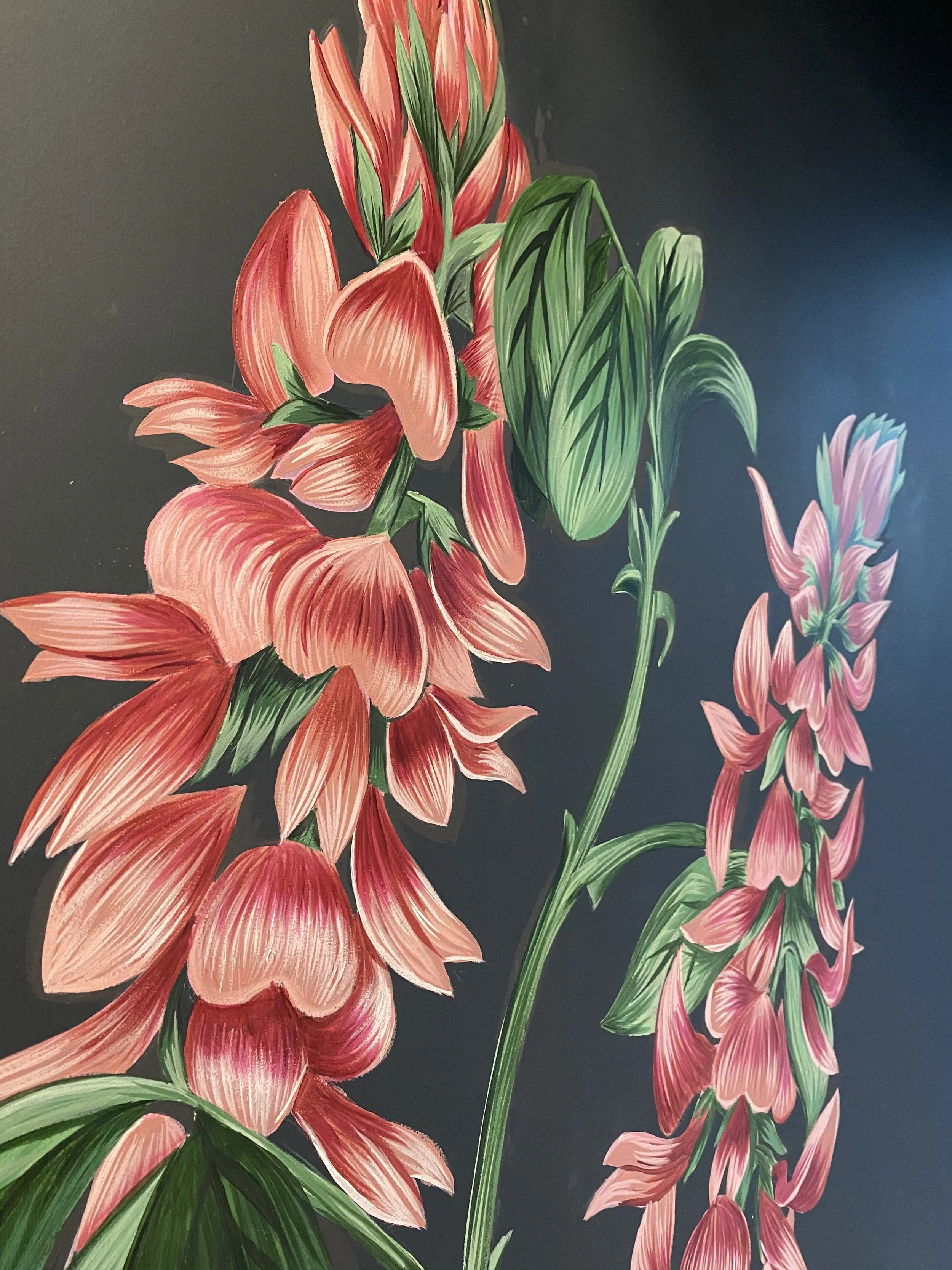 Close-up of pink and red gladiolus flowers with green leaves against a dark background.